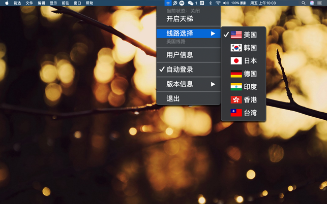 天梯VPN-高速(圖3)-速報App