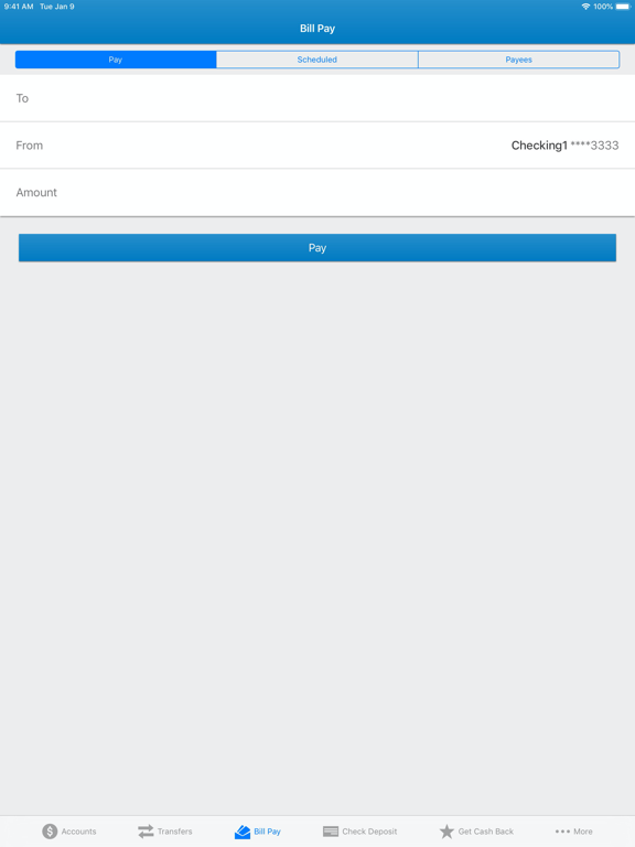 MassMutual FCU iPad screenshot 5 - Finance app