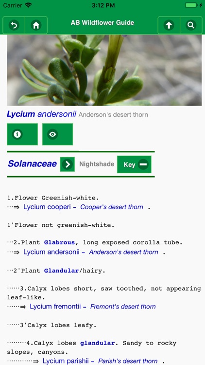 Anza-Borrego Wildflower Guide screenshot-4