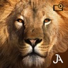 Safari: I-Evolution