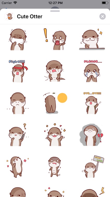 Cute Otter