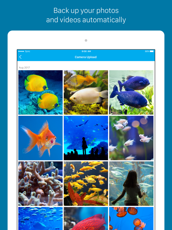 Screenshot #5 pour Sync - Secure cloud storage