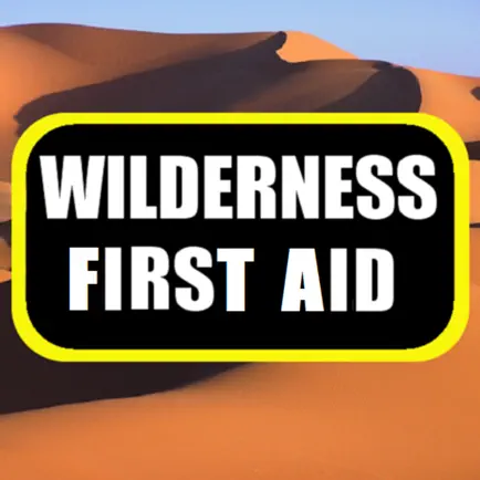 Wilderness First Aid Читы