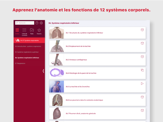 Screenshot #4 pour Anatomie & Physiologie