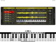 chameleon auv3 sampler plugin ipad images 2