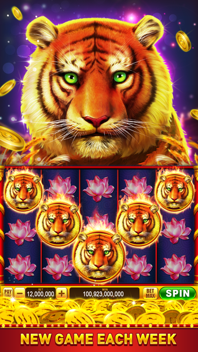 Royal Slots:Slot Machine Games Screenshot