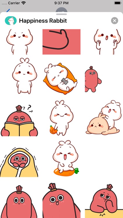 Happiness Rabbit and Friends