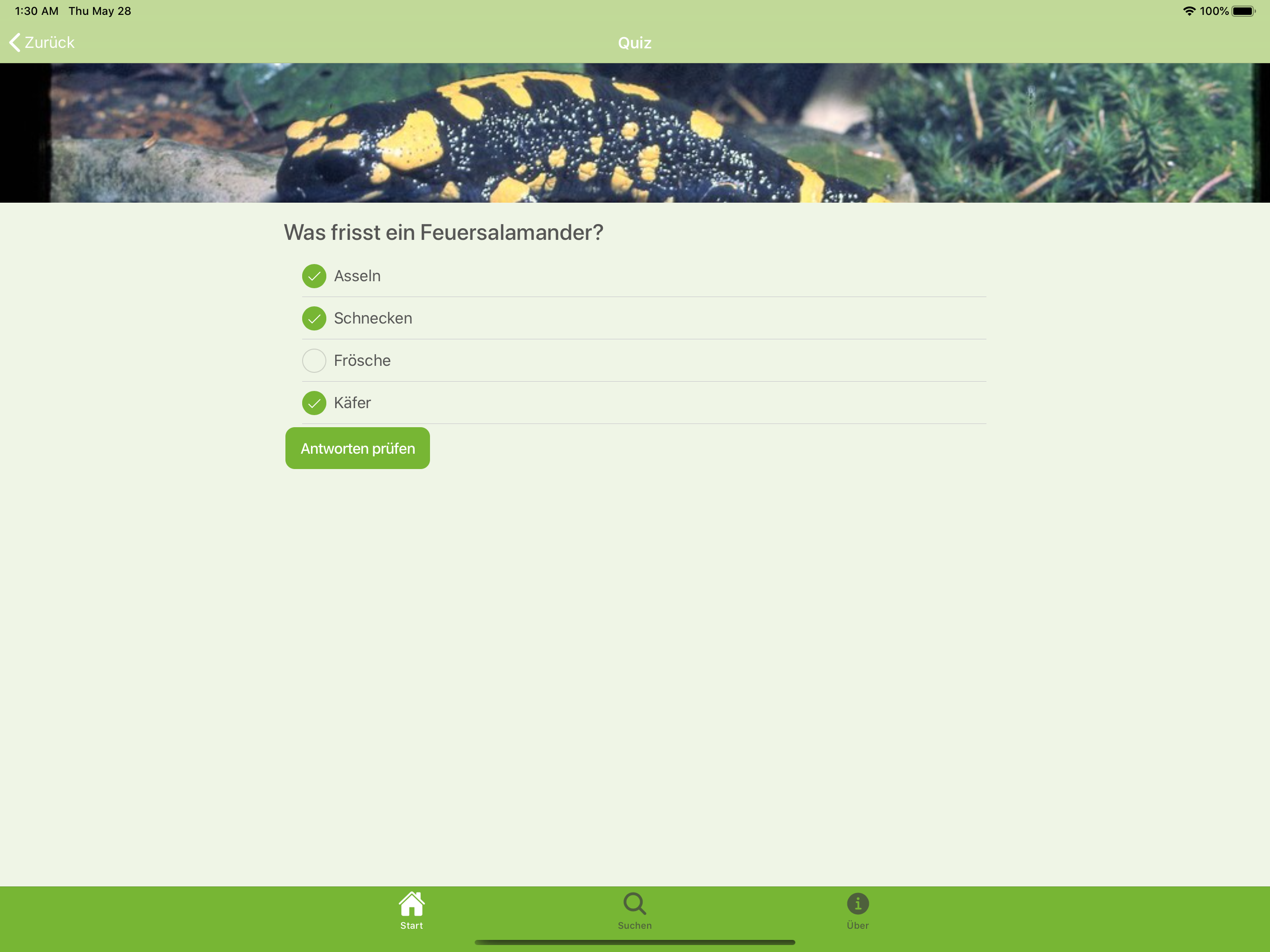 WaldApp! screenshot 8