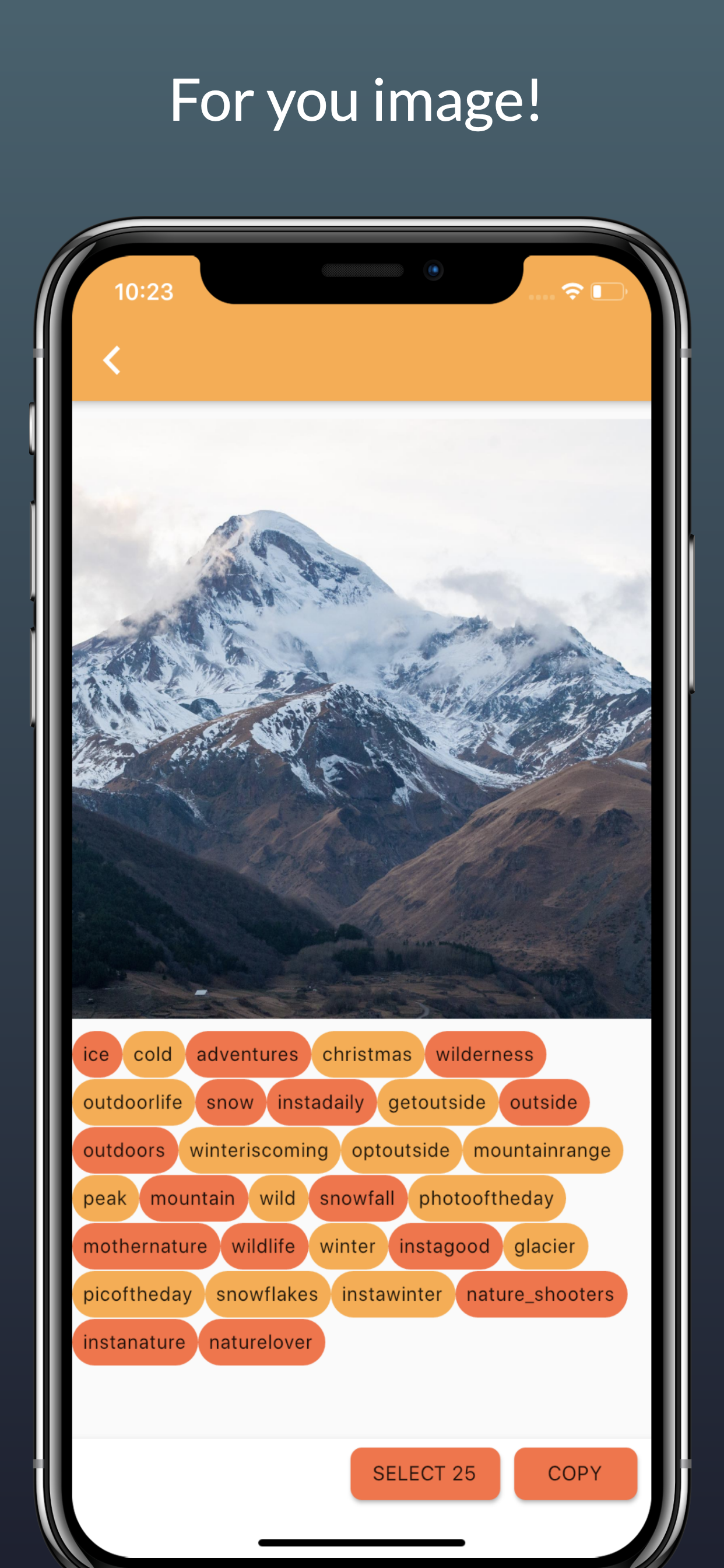 InTager screenshot 3