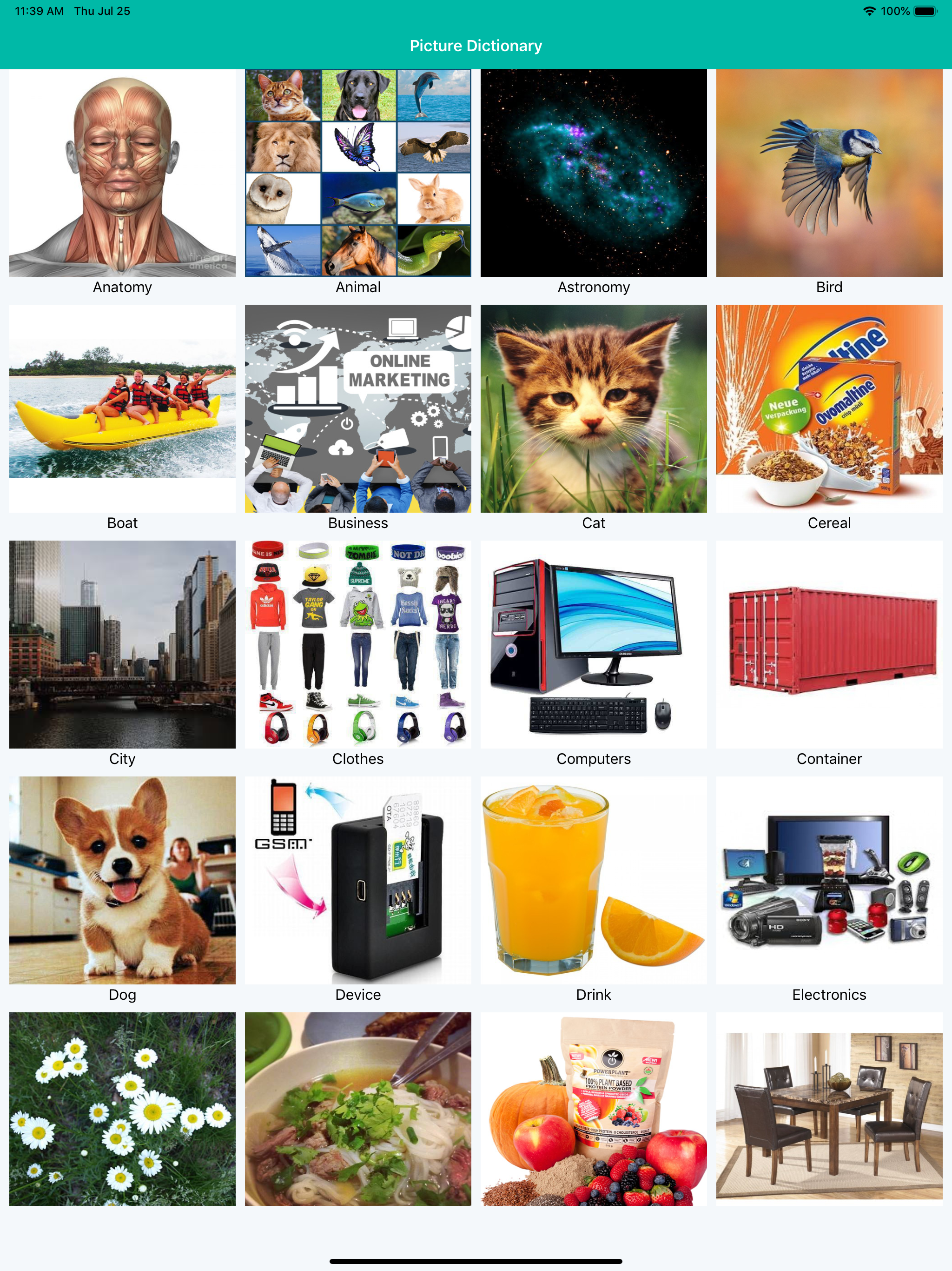 Dictionary with pictures