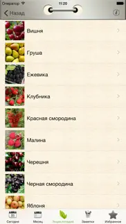 Лунный посевной календарь iphone screenshot 3