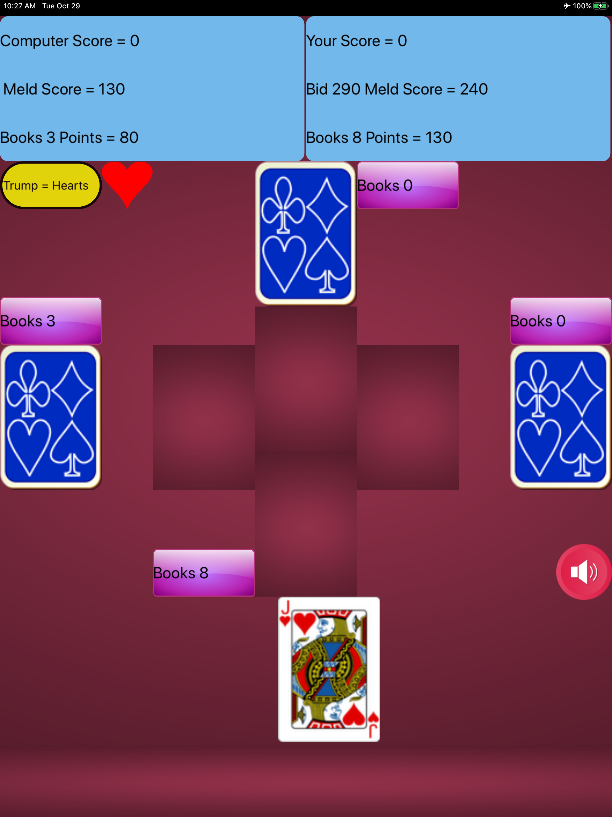Pinochle Card Game
