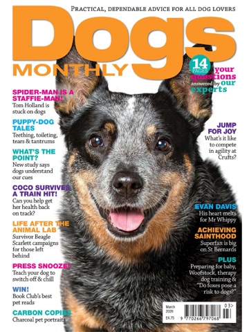 Dogs Monthly Magazine iPad screenshot