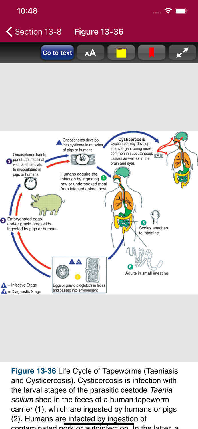 Atlas of Pediatric ER Med 3-E