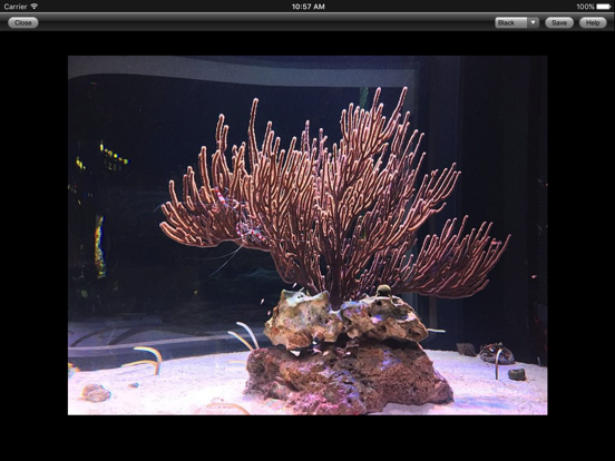 Screenshot #5 pour Web Images
