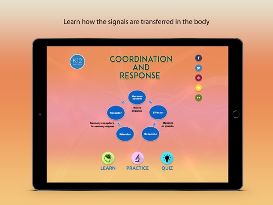 Screenshot #4 pour Coordination and Response