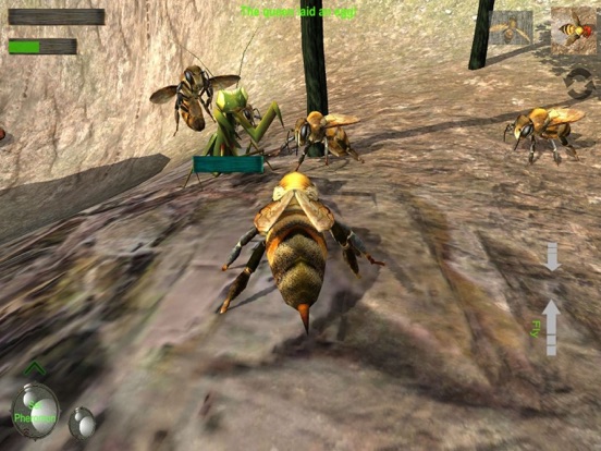 Bee Nest Simulator Full iPad screenshot