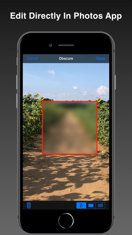 Obscure - share safely