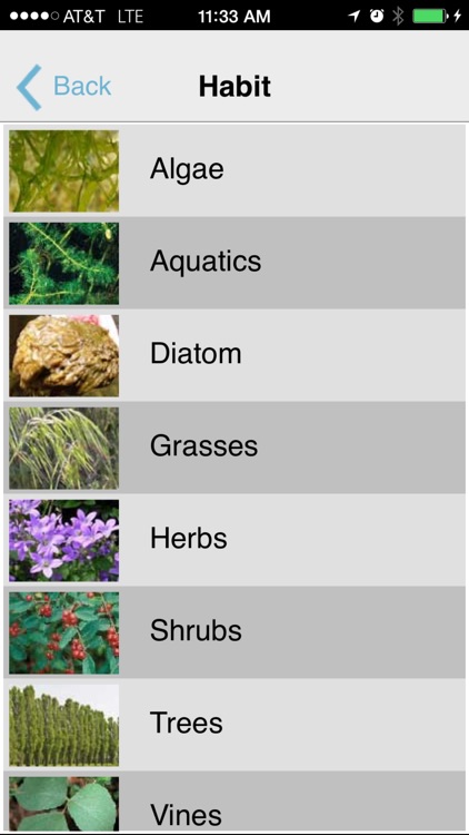 MISIN: Report Invasive Species