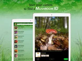 Capture 1 Mushroom Book & Identification iphone