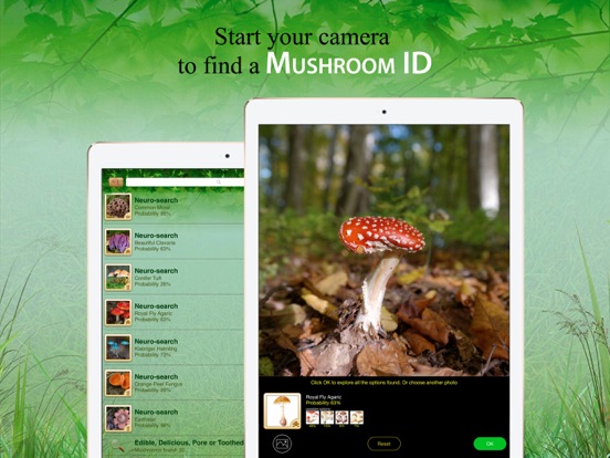 Mushroom Book & Identification Mushroom Book & Identification