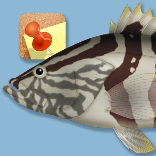 Memory Game Fish