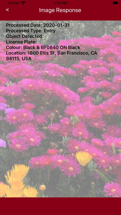 SnapAIO screenshot-8