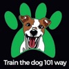 Train the Dog101 Way