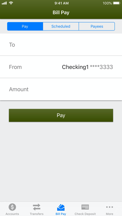 The Southern Credit Union Screenshot