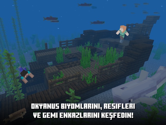 Minecraft App Store Da