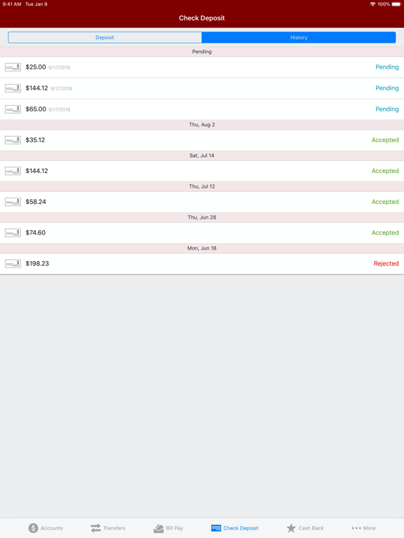 Wauna CU iPad screenshot 9 - Finance app