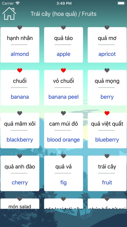 Vietnamese Vocabulary & Phrase