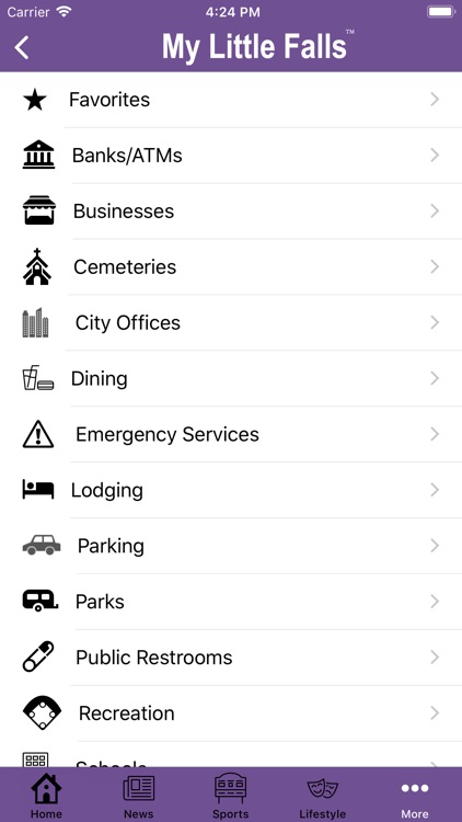 My Little Falls screenshot-3