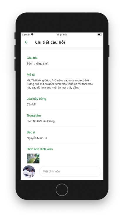 Bệnh viện cây ăn quả