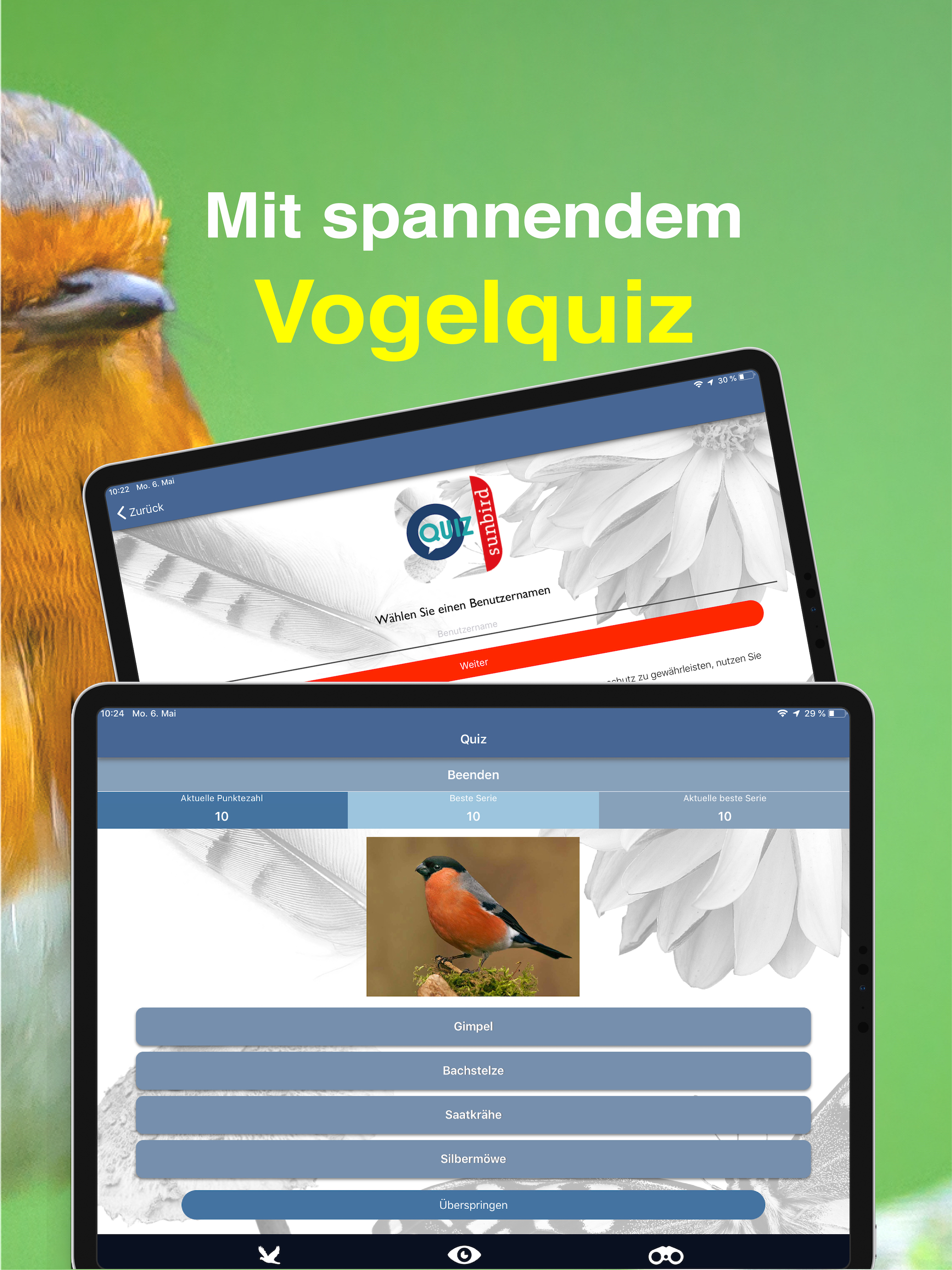 Bird Id - Garden Birds Germany