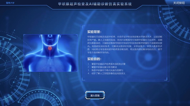 甲状腺仿真实验