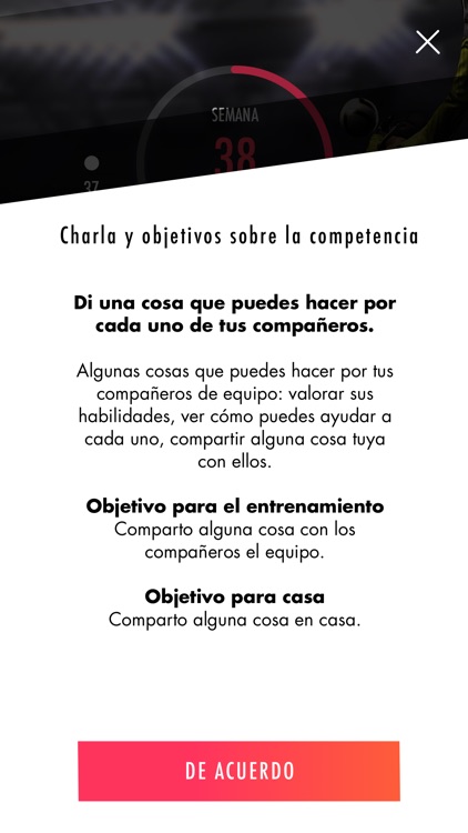 B-Champion de Fundació Brafa