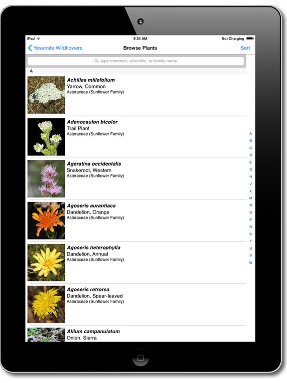 Screenshot #6 pour Yosemite Wildflowers