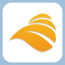 Basketball Game-Sporting Tool