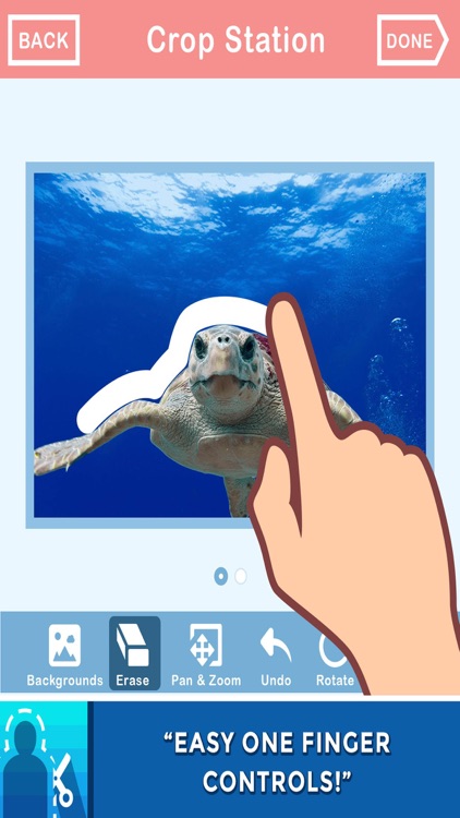 In The Pic Photo Crop & Chop