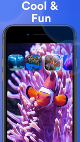 Aquarium HD : Fish Scenes screenshot