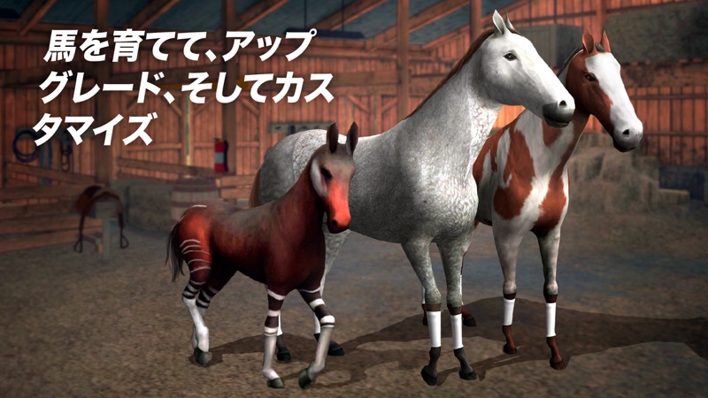 Photo Finish Horse Racing screenshot 4