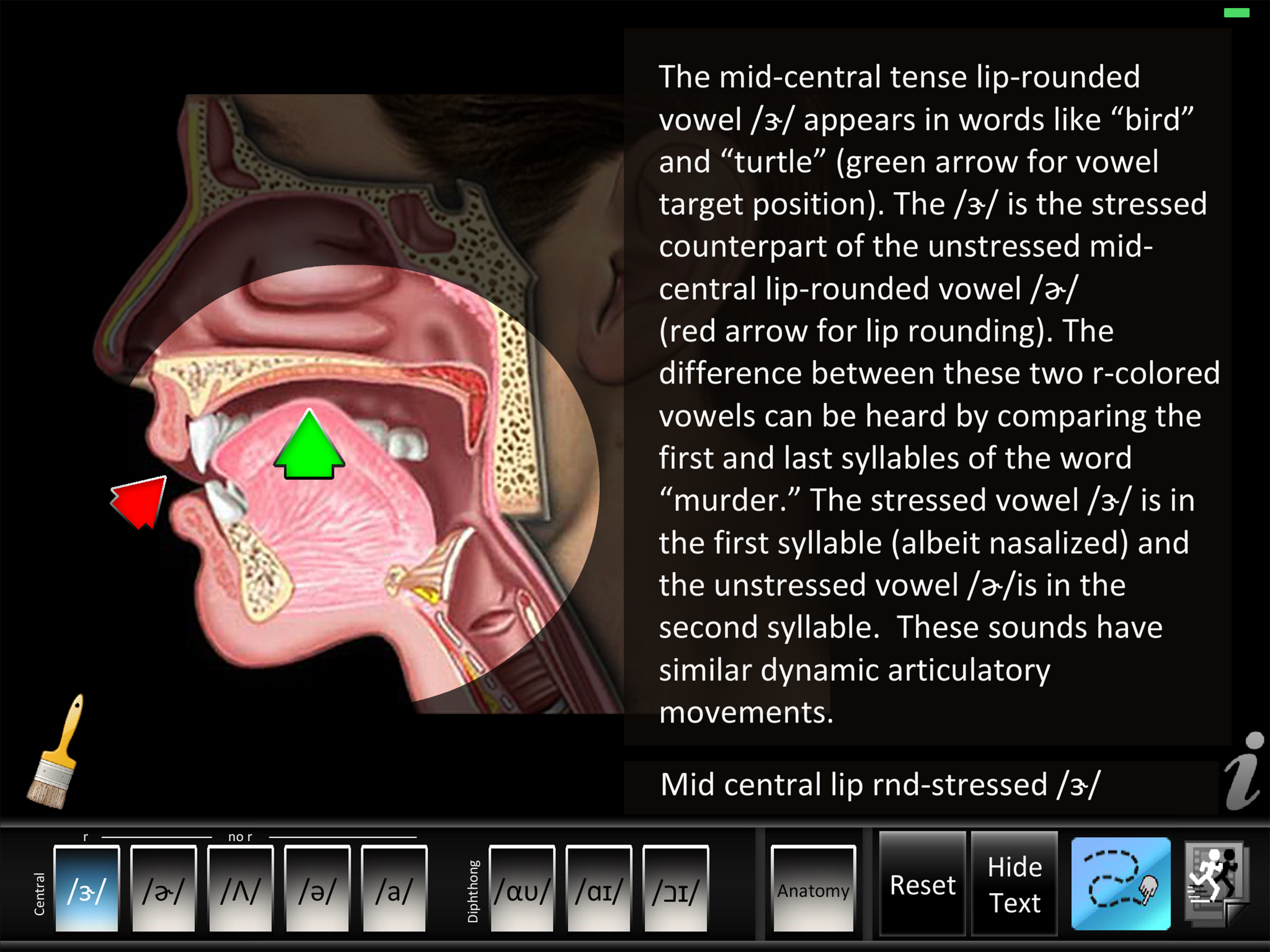 Vowels Central Diphthong screenshot 7