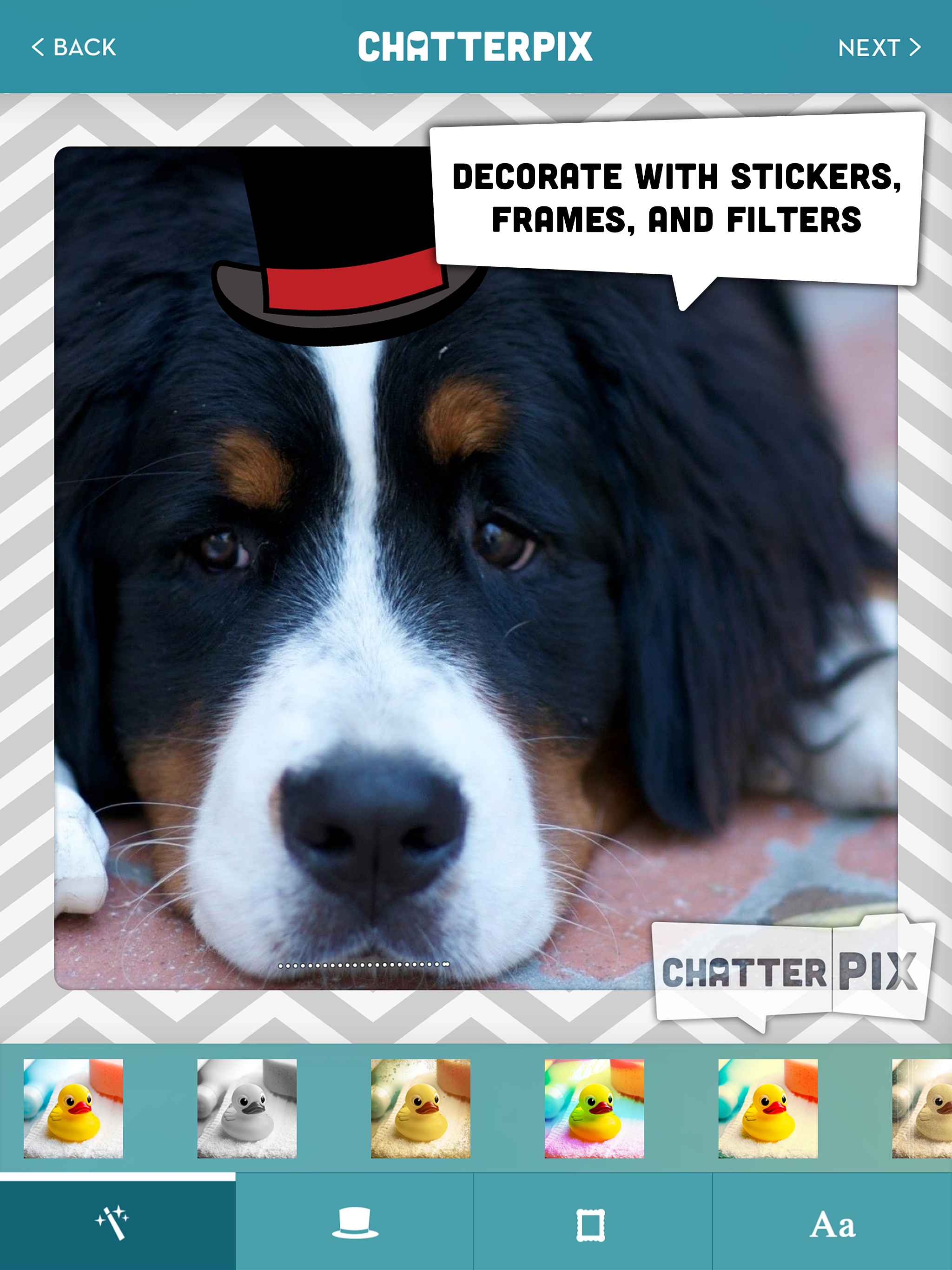 ChatterPix - Duck Duck Moose