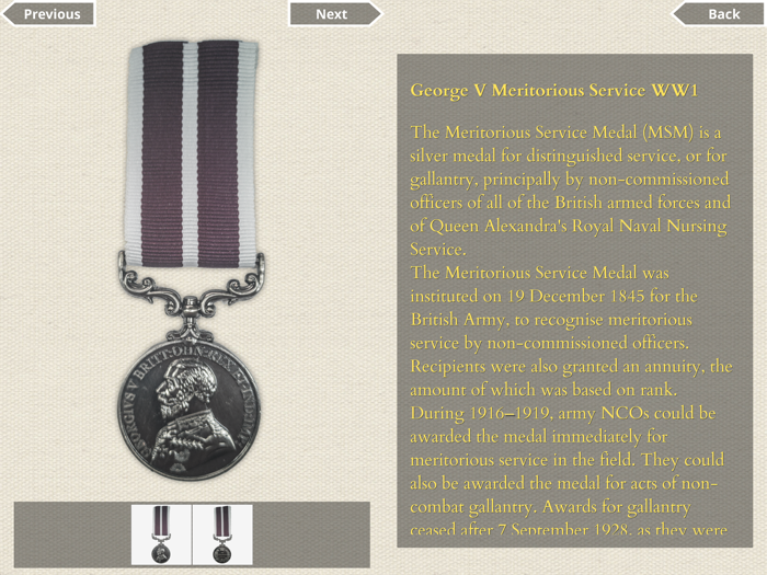 Virtual Display Case Medals