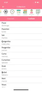 Spanish-Turkish Dictionary screenshot #2 for iPhone