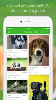 iknow dogs 2 pro problems & solutions and troubleshooting guide - 2