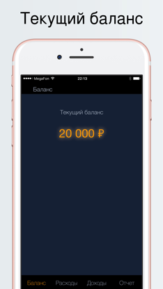 Денежный поток screenshot 5