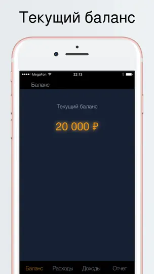 Скриншот Денежный поток на iPhone 5