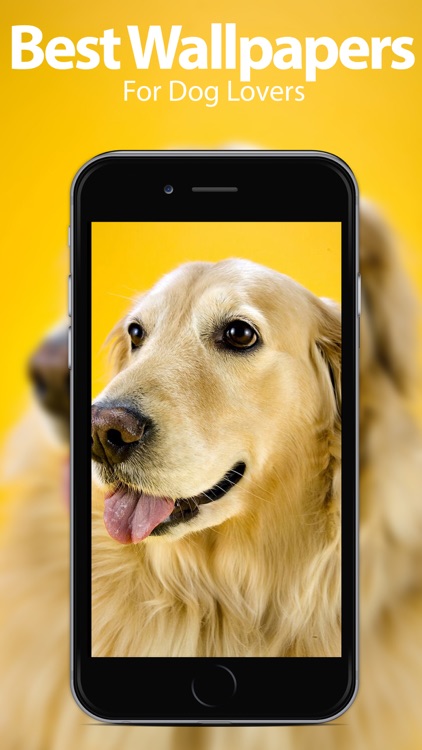 Dog Backgrounds & Wallpapers